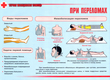 ПВ05 Первая помощь при чрезвычайных ситуациях (самокл.пленка, А3, 9 листов) - Плакаты - Медицинская помощь - Магазин охраны труда и техники безопасности stroiplakat.ru
